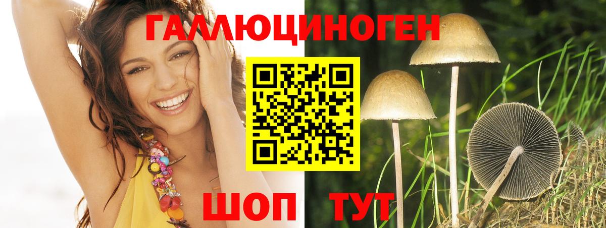 Галлюциногенные грибы Cubensis Лесной