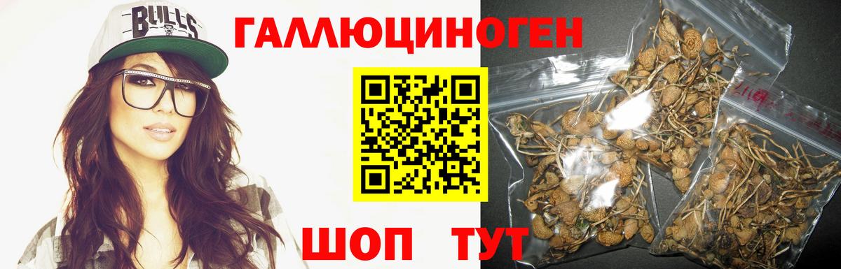Псилоцибиновые грибы мухоморы  Вход с VPN  Лесной  Галлюциногенные грибы мухоморы 